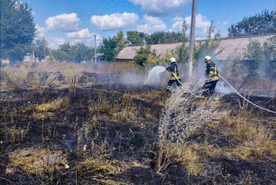 Горіли вулики з бджолами: на Черкащині минулої доби сталось шість пожеж Горіли вулики з бджолами: на Черкащині минулої доби сталось шість пожеж