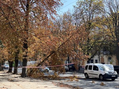 У Дніпрі через сильний вітер на дороги й автівки падають дерева У Дніпрі через сильний вітер на дороги й автівки падають дерева