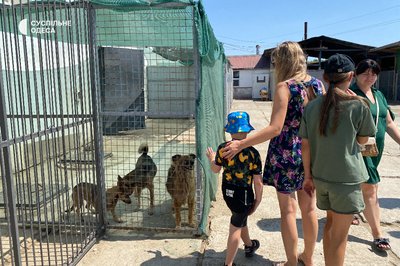 День відкритих дверей у "Ковчезі": як живе найбільший притулок Півдня України День відкритих дверей у "Ковчезі": як живе найбільший притулок Півдня України