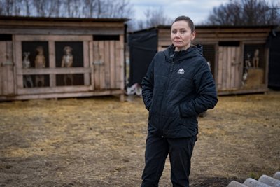 Мешкає майже 1000 тварин: притулок у Дніпрі приймає чотирилапих з прифронтових територій. Історії собак з Мирнограда Мешкає майже 1000 тварин: притулок у Дніпрі приймає чотирилапих з прифронтових територій. Історії собак з Мирнограда
