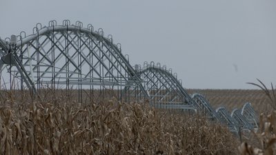 Черкаські аграрії завершують збір сої: чому вона не вродила та як це вплине на ціну? Черкаські аграрії завершують збір сої: чому вона не вродила та як це вплине на ціну?