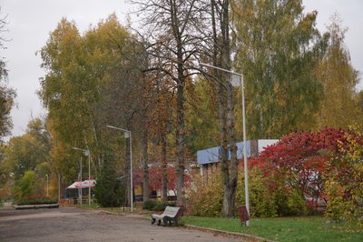 Сум'яни збирають каштани на продаж: скільки платять і чи варто це зусиль Сум'яни збирають каштани на продаж: скільки платять і чи варто це зусиль