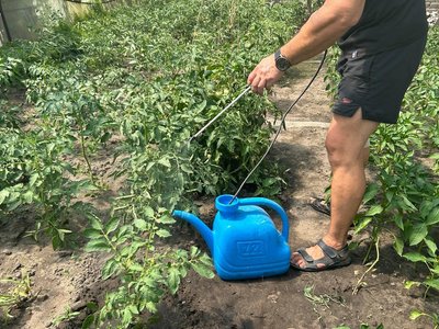 Вода, вапно, плівка, підживлення. Як вберегти врожай у літню спеку: поради від аграрія з Дніпропетровщини Вода, вапно, плівка, підживлення. Як вберегти врожай у літню спеку: поради від аграрія з Дніпропетровщини