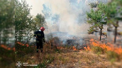 На Чернігівщині через пожежі в екосистемах вигоріли майже 55 гектарів землі На Чернігівщині через пожежі в екосистемах вигоріли майже 55 гектарів землі