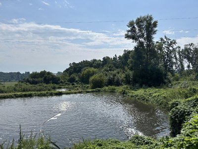 Біотехнологічний підхід: у місті на Черкащині очищують стічні води за допомогою бактерій Біотехнологічний підхід: у місті на Черкащині очищують стічні води за допомогою бактерій