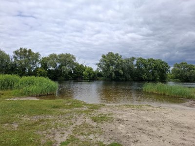 У піску біля озера Кандибине у Конотопі виявили паразитів У піску біля озера Кандибине у Конотопі виявили паразитів