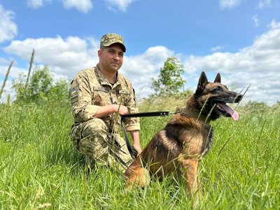 Нік — не просто службовий пес: як малінуа став побратимом прикордонника з Одещини Нік — не просто службовий пес: як малінуа став побратимом прикордонника з Одещини