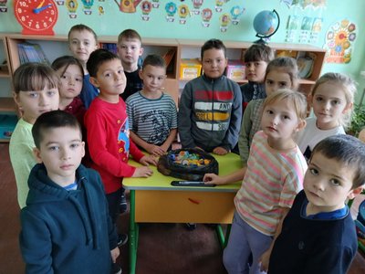 "Кришечки збирай — ЗСУ допомагай!": школярі на Вінниччинія "Кришечки збирай — ЗСУ допомагай!": школярі на Вінниччинія