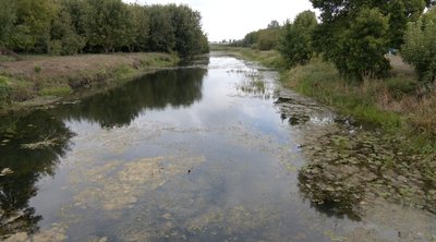 На Волині через посуху обміліли водойми та пересихають криниці: що кажуть фахівці На Волині через посуху обміліли водойми та пересихають криниці: що кажуть фахівці