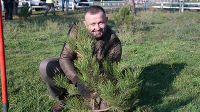 Чоловік висаджує дерево на Миколаївщині Чоловік висаджує дерево на Миколаївщині