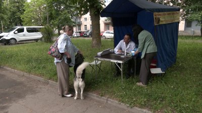 Безплатне щеплення домашніх котів і собак від сказу розпочали у Рівненській громаді Безплатне щеплення домашніх котів і собак від сказу розпочали у Рівненській громаді