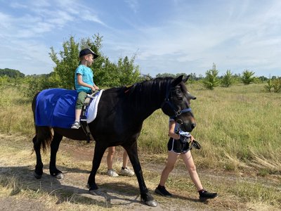 Іпотерапія для дітей Іпотерапія для дітей