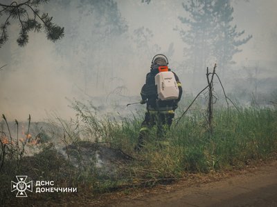 Лісова пожежа Лісова пожежа