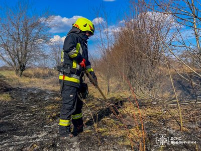 На Вінниччині під час пожежі врятували обгоріле зайченя На Вінниччині під час пожежі врятували обгоріле зайченя