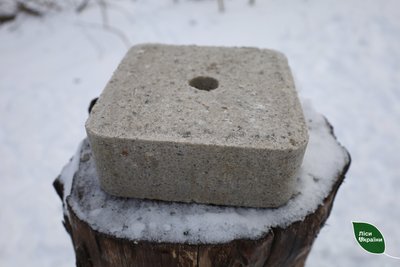 На Полтавщині лісники під час морозів посилено підгодовують диких тварин На Полтавщині лісники під час морозів посилено підгодовують диких тварин