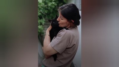 Херсон, волонтери, Оксана Синенко, коти