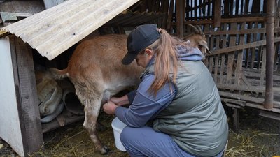 «Є свобода, воля та чисте повітря»: 51-річна жителька Кіровоградщини про життя та роботу в селі «Є свобода, воля та чисте повітря»: 51-річна жителька Кіровоградщини про життя та роботу в селі