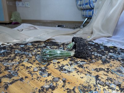 "Оце зробили нелюди": в якому стані багатоповерхівка у Сумах після влучання "Шахеда" "Оце зробили нелюди": в якому стані багатоповерхівка у Сумах після влучання "Шахеда"