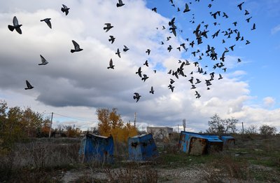 Мікрорайон Острів у Херсоні 18 листопада 2024 року Мікрорайон Острів у Херсоні 18 листопада 2024 року