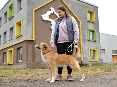 Обстріли Нікопольщини, помер поранений внаслідок удару по Царичанці. Головні новини Дніпра та області 12 грудня Обстріли Нікопольщини, помер поранений внаслідок удару по Царичанці. Головні новини Дніпра та області 12 грудня