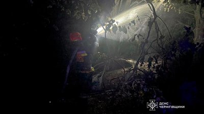 Зіткнувся з деревом та згорів: на Чернігівщині в ДТП загинув водій легковика Зіткнувся з деревом та згорів: на Чернігівщині в ДТП загинув водій легковика
