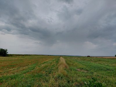 Межа між двома Митницями Межа між двома Митницями