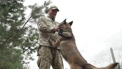 "Не уявляю службу без неї": як собака Барбі допомагає охороняти кордон Рівненщини з Республікою Білорусь "Не уявляю службу без неї": як собака Барбі допомагає охороняти кордон Рівненщини з Республікою Білорусь