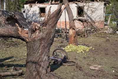 Пошкоджені дерева у саду після обстрілу Пошкоджені дерева у саду після обстрілу