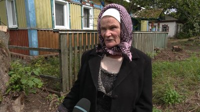 Вивезли 12 тварин з Грем`яча на Чернігівщині: родина врятувала котів та собак Вивезли 12 тварин з Грем`яча на Чернігівщині: родина врятувала котів та собак