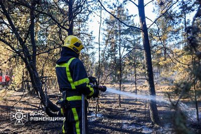 "Загроза для населених пунктів": горить лісовий масив між селами на Рівненщині "Загроза для населених пунктів": горить лісовий масив між селами на Рівненщині