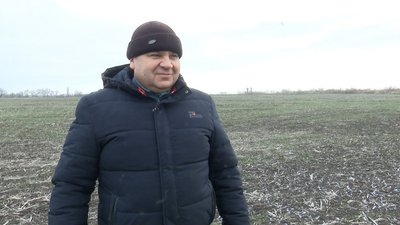"Пшениця перебуває в стресі": як погода на Полтавщині впливає на озимі культури "Пшениця перебуває в стресі": як погода на Полтавщині впливає на озимі культури