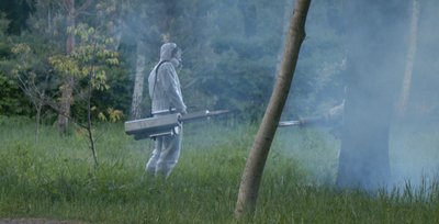 У Луцьку проводять обробку парків та пляжів від комах