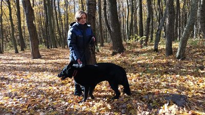 Катерина Кузик, пішла по гриби і зникла, як збирати гриби, як не заблукати в лісі Катерина Кузик, пішла по гриби і зникла, як збирати гриби, як не заблукати в лісі
