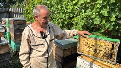 Продукції менше і ціни зросли: як урожай меду на Полтавщині вплинув на вартість Продукції менше і ціни зросли: як урожай меду на Полтавщині вплинув на вартість