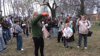 Чотири види кажанів після реабілітації випустили на волю у Рівному