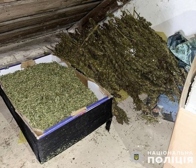 На Житомирщині затримали групу, яка займалася вирощуванням і збутом наркотиків На Житомирщині затримали групу, яка займалася вирощуванням і збутом наркотиків