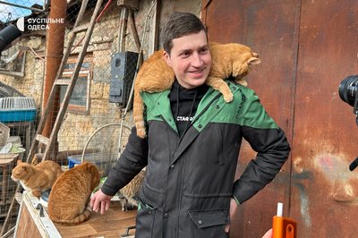 Притулок для тварин "Одинокі серця" в Одесі відзначив п’ятиріччя днем відкритих дверей