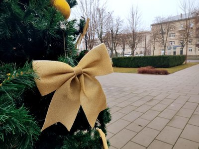 У Черкасах у сквері "Юність" встановили новорічну ялинку У Черкасах у сквері "Юність" встановили новорічну ялинку