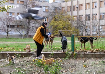 Волонтерка годує собак і котів на Острові у Херсоні 18 листопада 2024 року Волонтерка годує собак і котів на Острові у Херсоні 18 листопада 2024 року