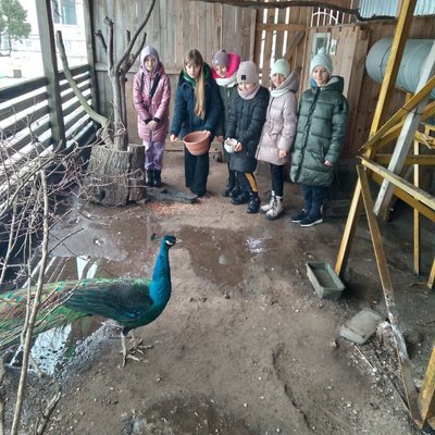 Школярі у Володимирці у мінізоопарку Школярі у Володимирці у мінізоопарку