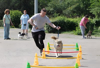 Господарі зі своїми собаками на груповому занятті виконують вказівки кінологині. Миколаїв, червень 2025 року Господарі зі своїми собаками на груповому занятті виконують вказівки кінологині. Миколаїв, червень 2025 року