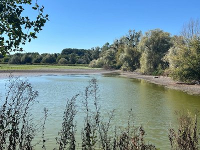 Поглиблюють і копають нові: у громаді на Черкащині нестача води у криницях Поглиблюють і копають нові: у громаді на Черкащині нестача води у криницях