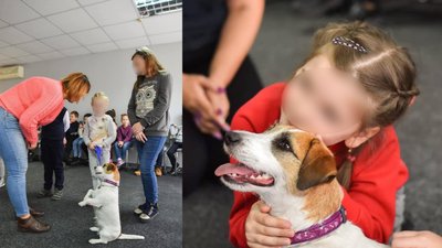 "Собака не тільки має охороняти, а й може працювати в реабілітації": як чотирилапа Берта допомагає дітям і ветеранам "Собака не тільки має охороняти, а й може працювати в реабілітації": як чотирилапа Берта допомагає дітям і ветеранам