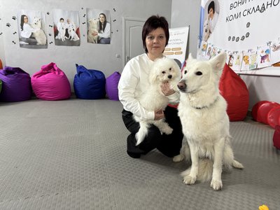 "Якщо мені тривожно, я можу прийти сюди": як працює Центр каністерапії у Миргороді "Якщо мені тривожно, я можу прийти сюди": як працює Центр каністерапії у Миргороді