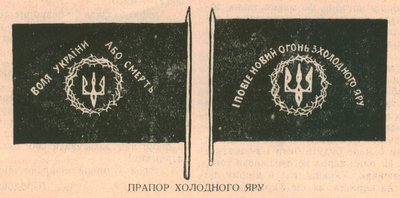 "Синьо-жовтий прапор — наш оберіг, маркер і ідентичність". Кропивницький історик про український стяг "Синьо-жовтий прапор — наш оберіг, маркер і ідентичність". Кропивницький історик про український стяг