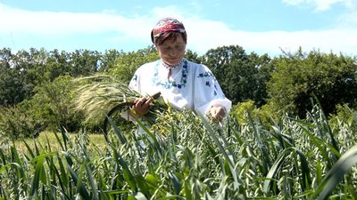 Дідухи, віночки, букети із сухоцвітів: жінка з Вінниччини займається соломоплетінням Дідухи, віночки, букети із сухоцвітів: жінка з Вінниччини займається соломоплетінням