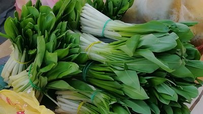 На Кіровоградщині перевіряють ліси й ринки через продаж первоцвітів: які штрафи На Кіровоградщині перевіряють ліси й ринки через продаж первоцвітів: які штрафи