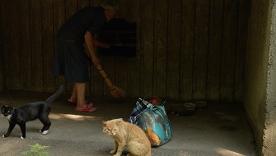 Не забувайте про тварин: як одна миска з водою стає мірилом людяності Не забувайте про тварин: як одна миска з водою стає мірилом людяності