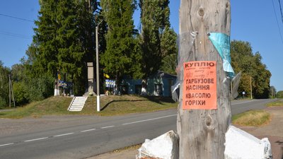 Відсутність вільних хат і зростання цін: як війна змінює ринок сільської нерухомості на прикордонні Чернігівщини Відсутність вільних хат і зростання цін: як війна змінює ринок сільської нерухомості на прикордонні Чернігівщини
