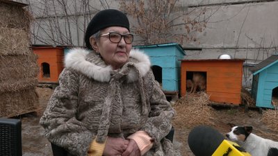 Більше 700 тисяч гривень зібрали волонтери на притулок у Рівному, що постраждав від російської атаки Більше 700 тисяч гривень зібрали волонтери на притулок у Рівному, що постраждав від російської атаки